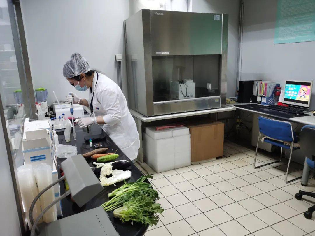 丹寨食品检测实验室装修方案